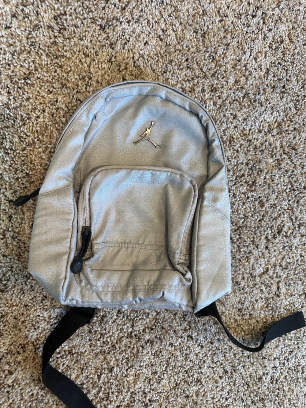 Jordan Silver Mini Backpack